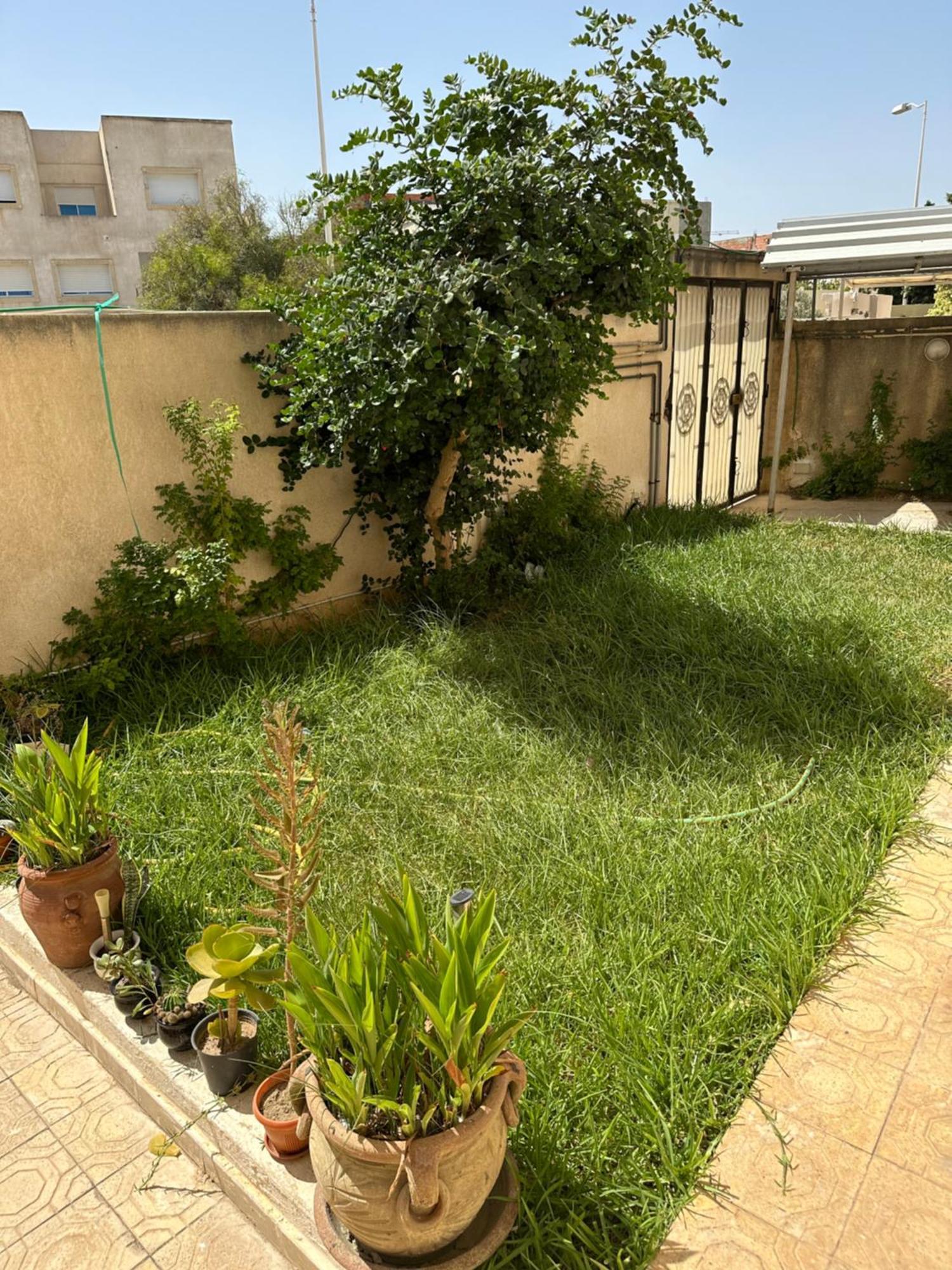 Sidi Daoud Garden House Jardin De Carthage 아파트 외부 사진